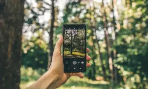 Jak nie zgubić się w lesie? Aplikacje i porady GPS