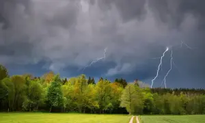 Burza w lesie: Jak przetrwać? Praktyczny poradnik przetrwania