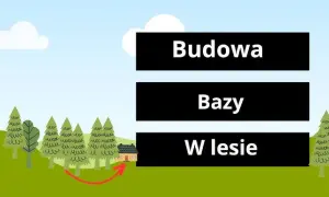 Jak zrobić bazę w lesie? Legalny poradnik krok po kroku