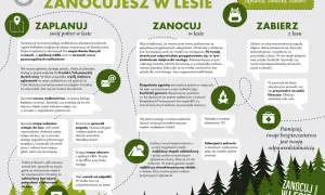 Grafika z ikonami i tekstem informującym o zasadach biwakowania w lesie: planowanie, nocleg, zabieranie rzeczy.