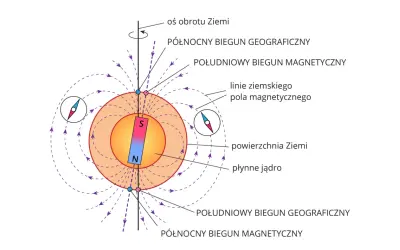 Ilustracja przedstawia Ziemię z polem magnetycznym, biegunami i kompasem.