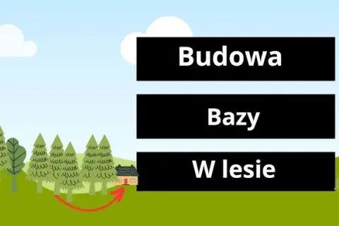 Jak zrobić bazę w lesie? Legalny poradnik krok po kroku