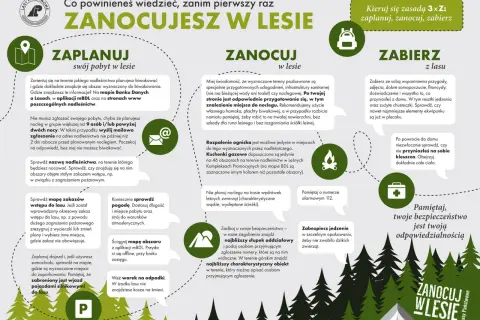 Grafika z ikonami i tekstem informującym o zasadach biwakowania w lesie: planowanie, nocleg, zabieranie rzeczy.