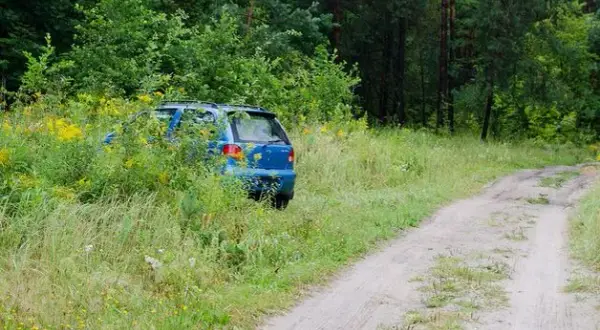 Jak odnaleźć auto w lesie? Sprawdzone sposoby i procedury