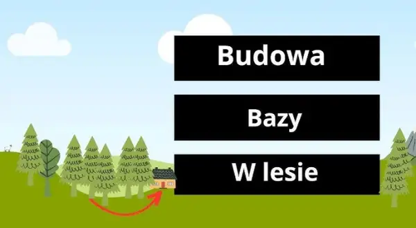 Jak zrobić bazę w lesie? Legalny poradnik krok po kroku