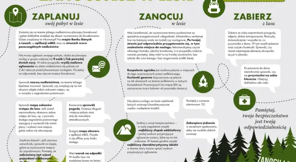 Grafika z ikonami i tekstem informującym o zasadach biwakowania w lesie: planowanie, nocleg, zabieranie rzeczy.