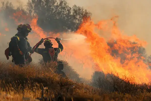 Strażacy walczą z pożarem lasu, pokazując, jak zachować się podczas pożaru w lesie. Woda gasi płomienie.